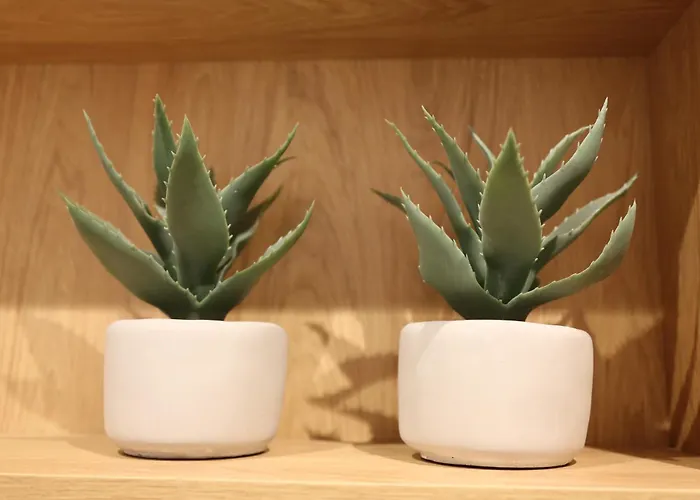 Daire Safari - Plac Wolnosci 6